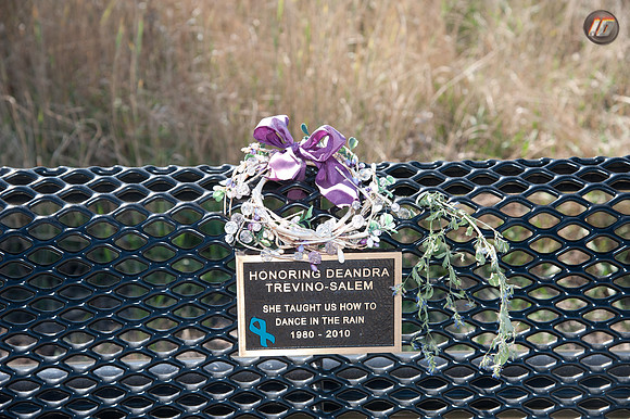 wwpw11_29