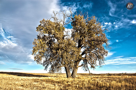 DSC_3642-Edit