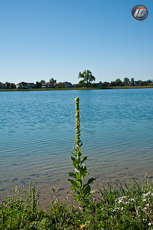wwpw11_14