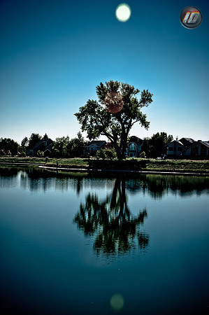 wwpw11_01