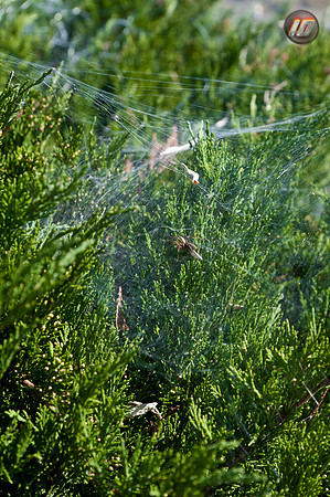 wwpw11_04