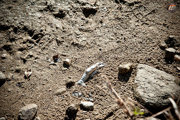 wwpw11_05