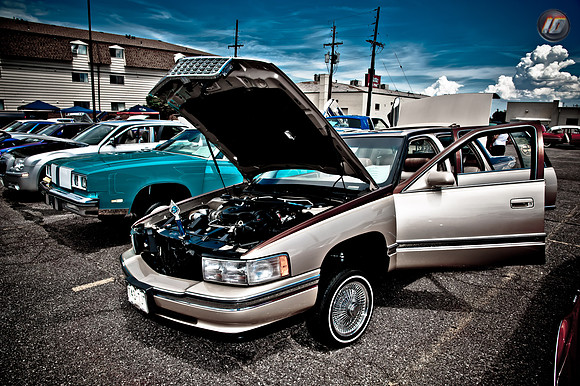 mizfits2011_069