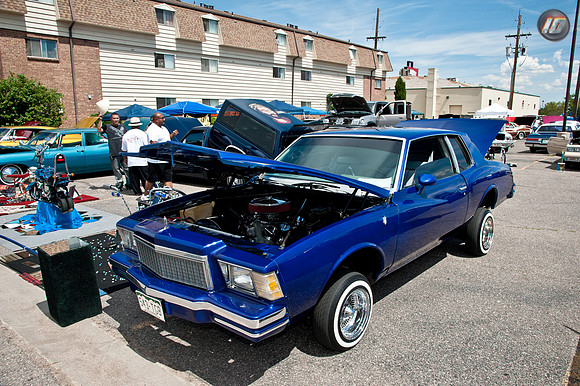 mizfits2011_038