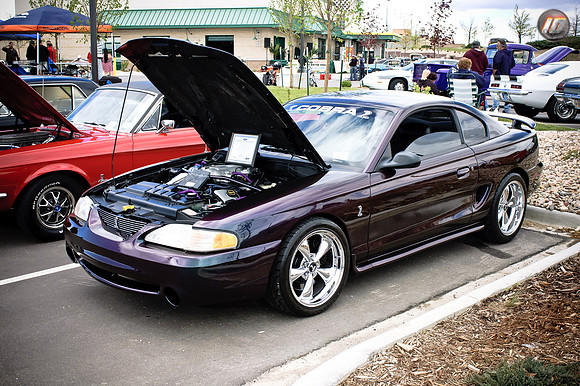 motormania01_067