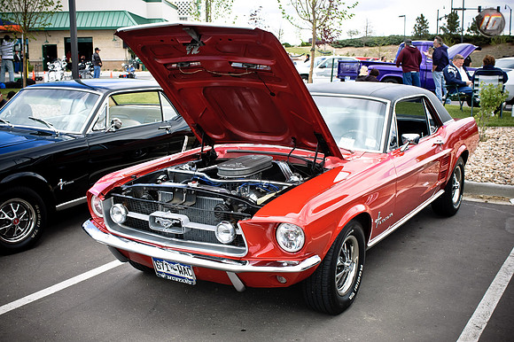 motormania01_068