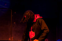 GSSLive2013_18