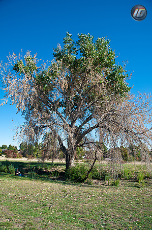 wwpw11_22
