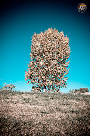 wwpw11_07