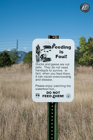 wwpw11_11