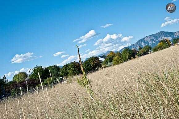 wwpw11_33