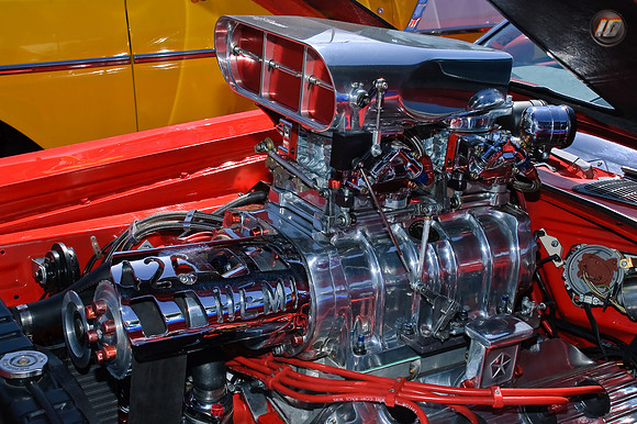 DSC_2904