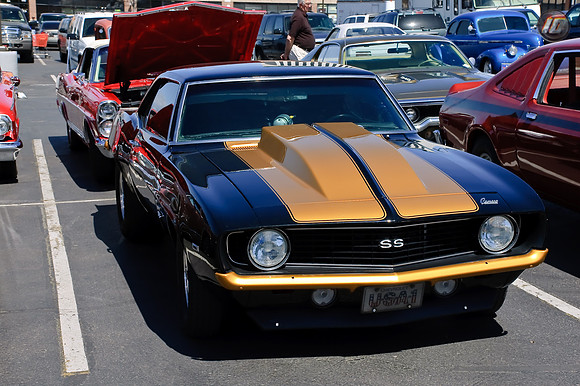 DSC_3037