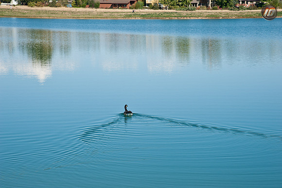 wwpw11_26