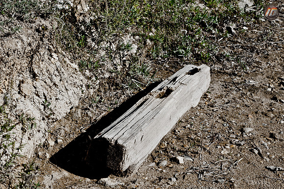 wwpw11_10