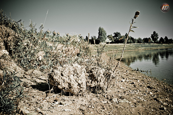 wwpw11_08