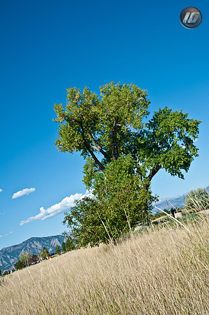 wwpw11_32