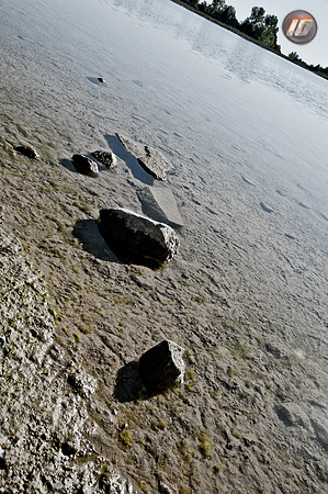 wwpw11_13