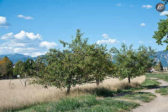 wwpw11_30